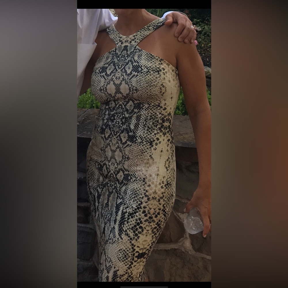 Hale Bob Black and Cream Snake Print Dress
